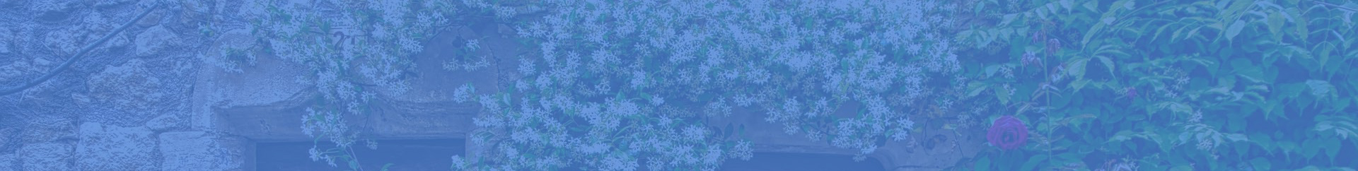 Paroisse ste anne francoise et ste croix en retz 44